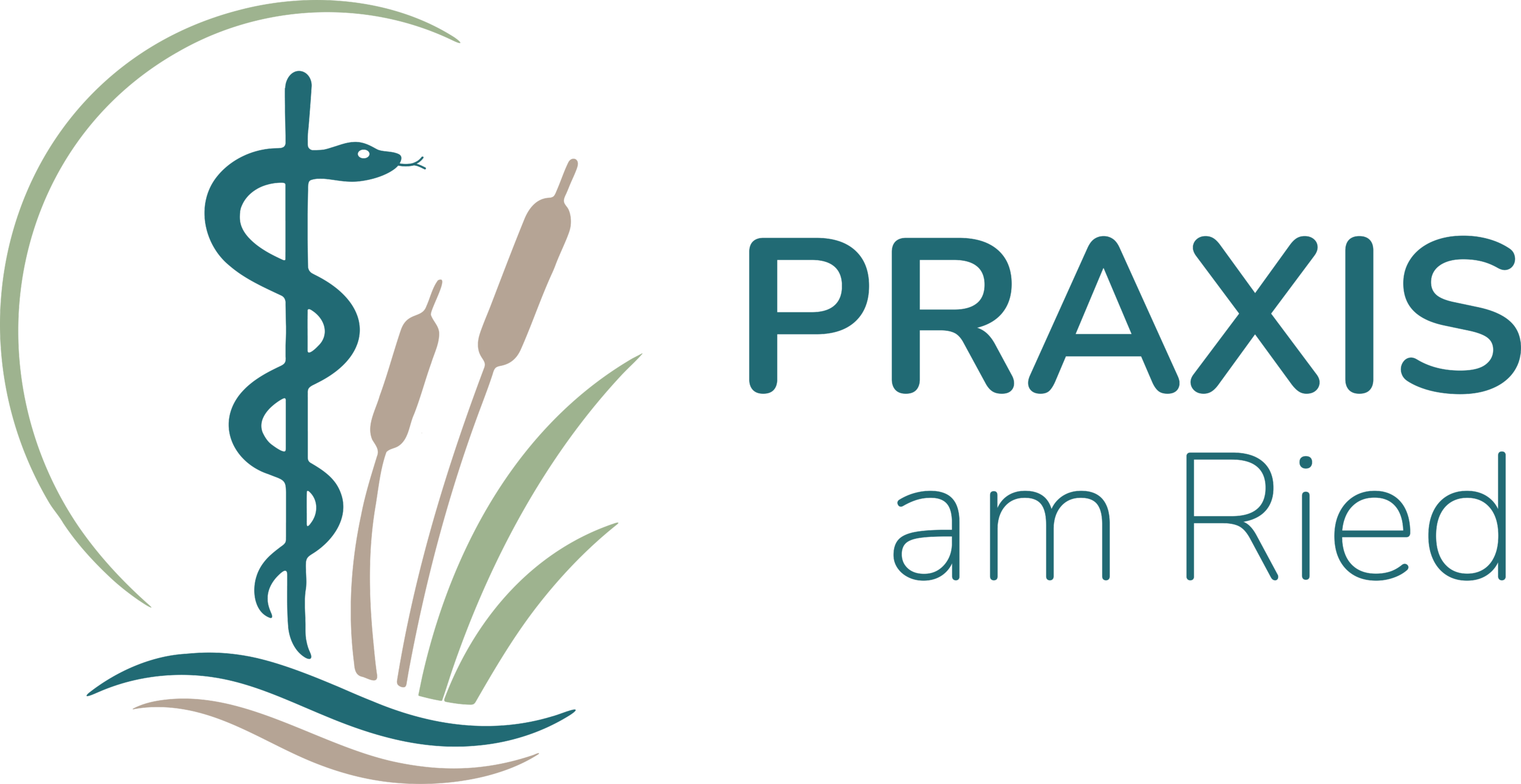 Logo Praxis am Ried Schriftzug